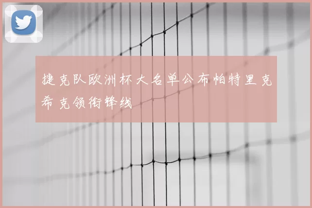 捷克队欧洲杯大名单公布帕特里克希克领衔锋线